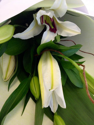 Single Oriental Lily