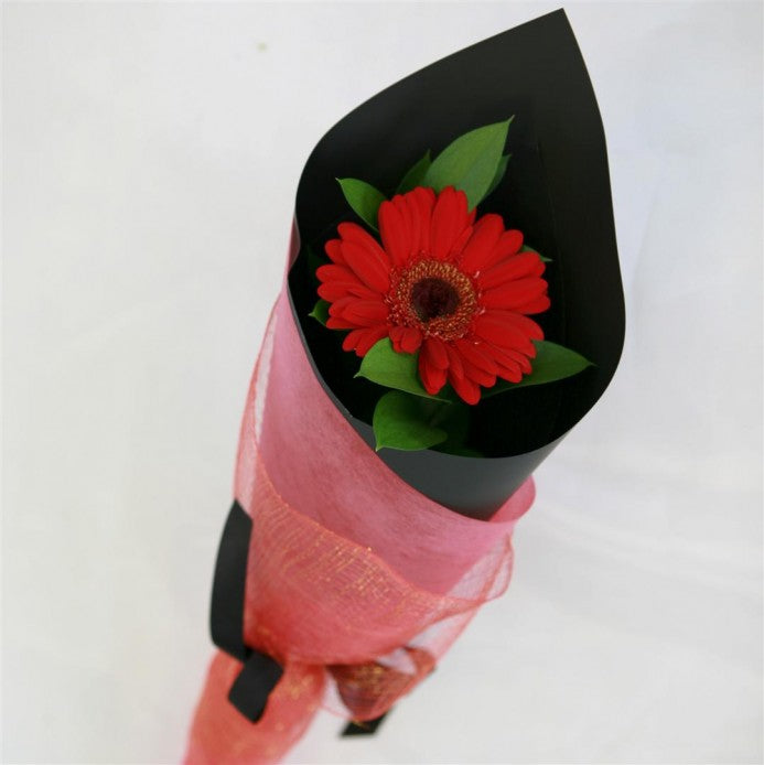 Valentines day single Red Gerbera